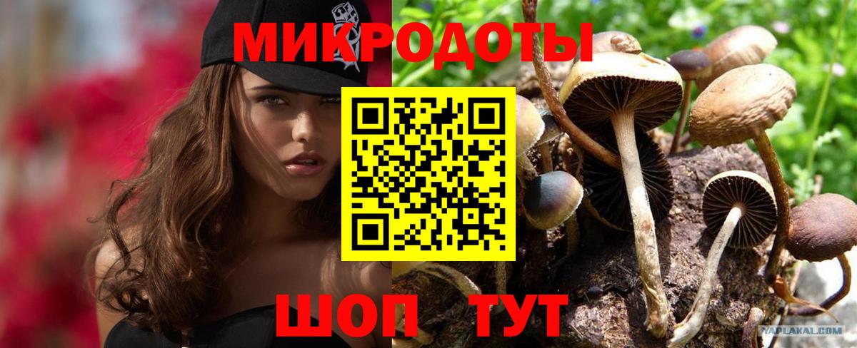 Галлюциногенные грибы прущие грибы Киров